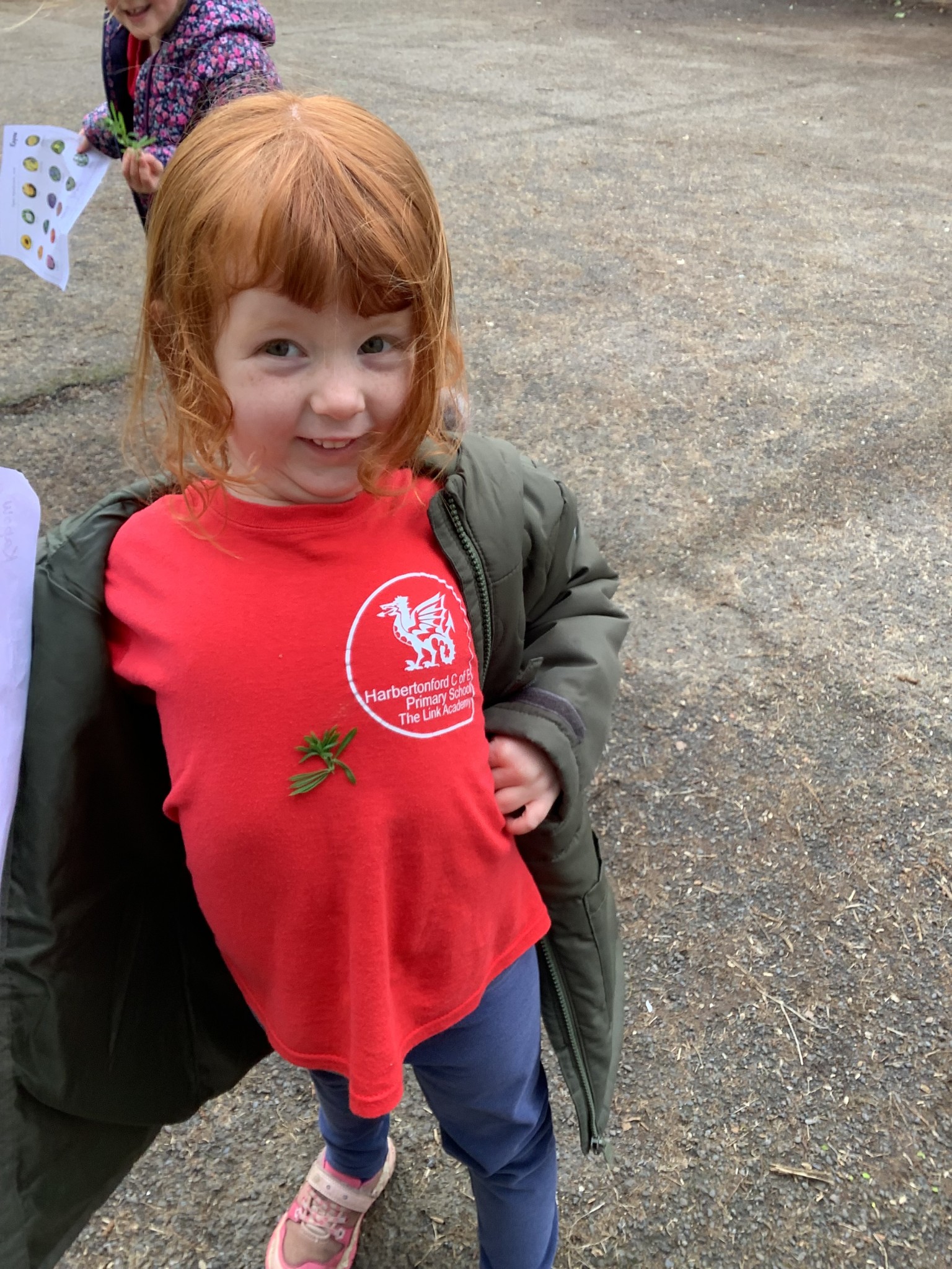 Learning about plants