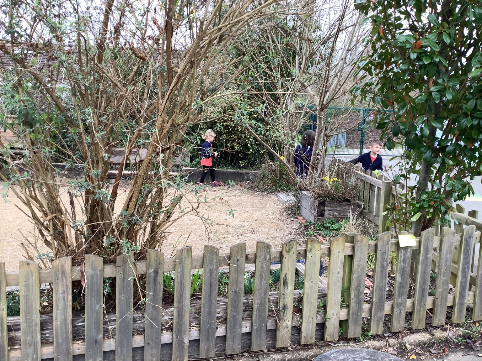 Exploring our outdoor space