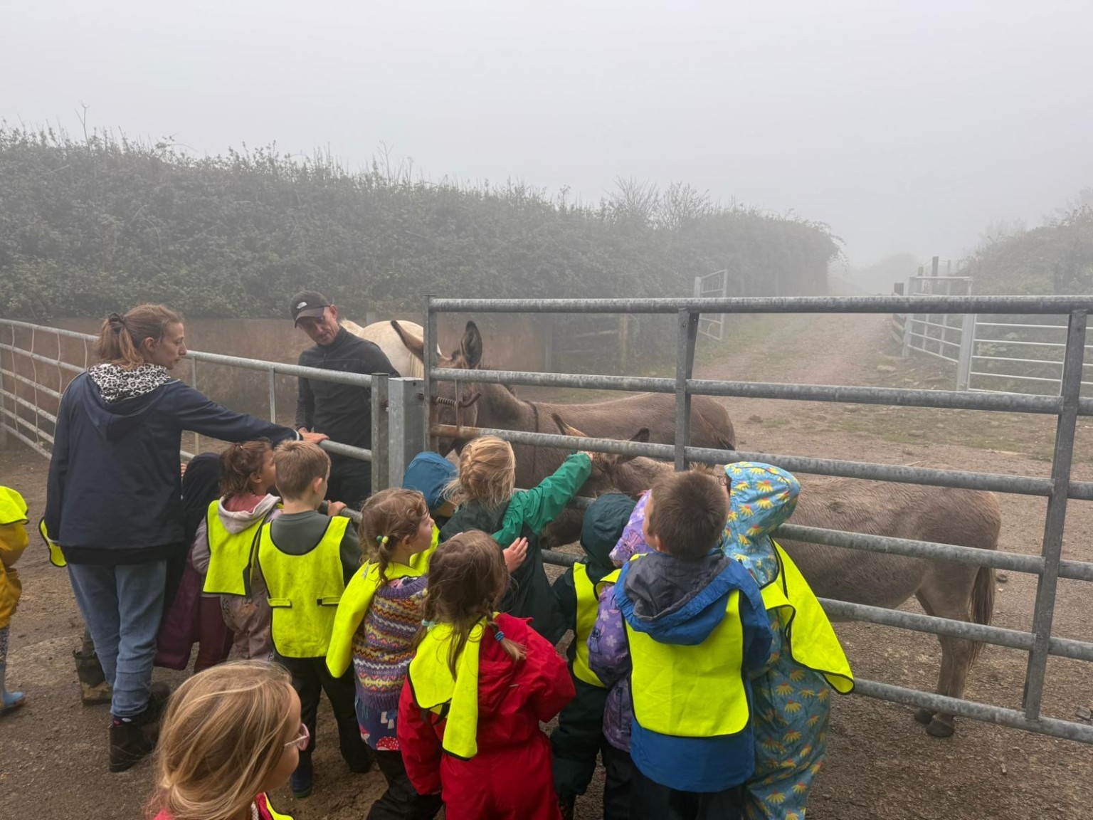 Visit to the farm 