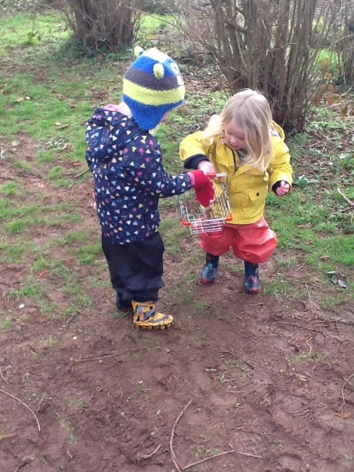 Forest wonders.
