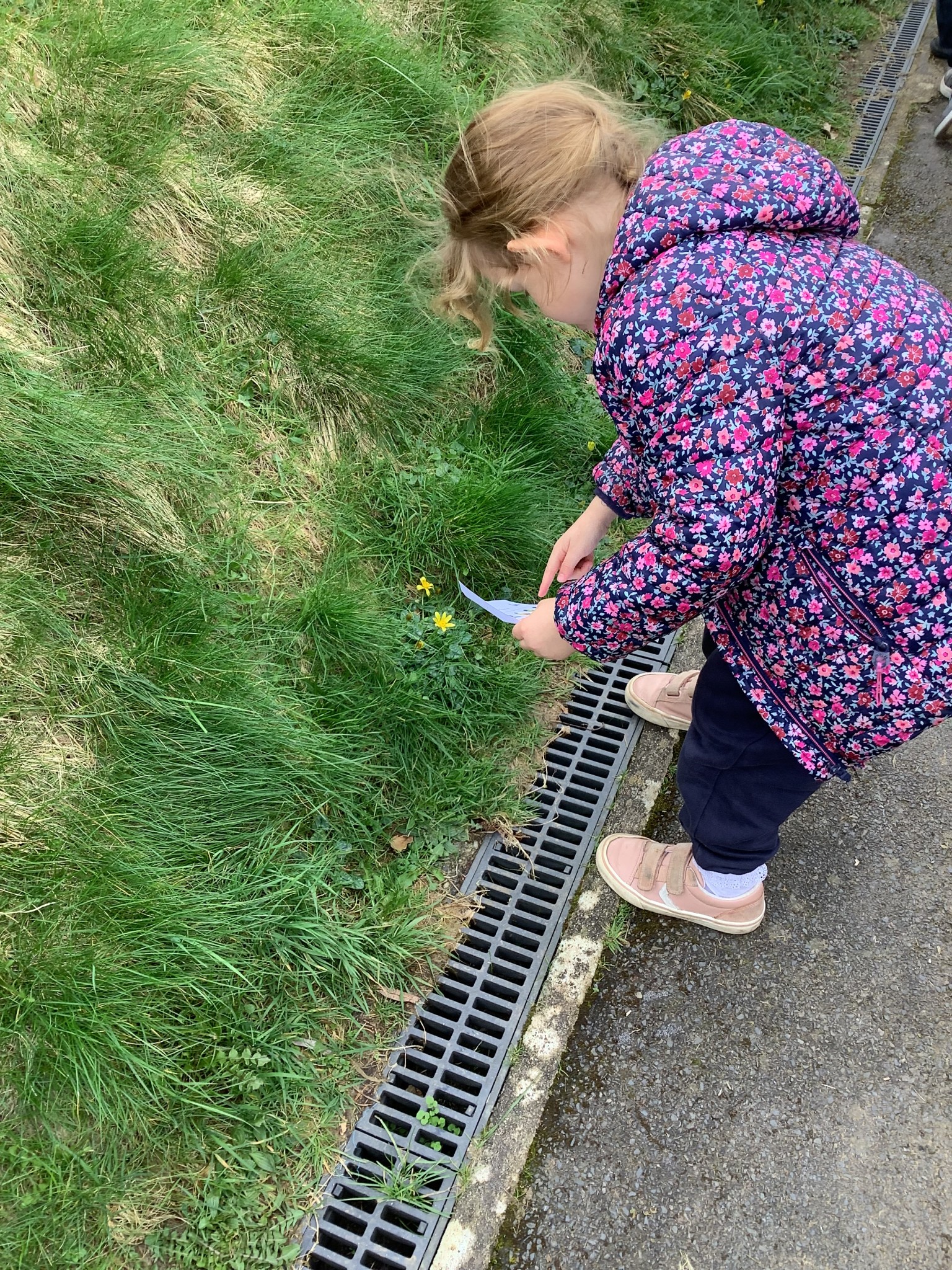 Learning about plants