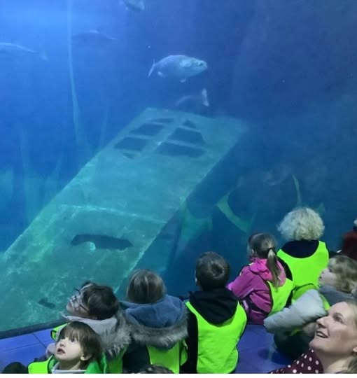 Trip to Plymouth Aquarium 