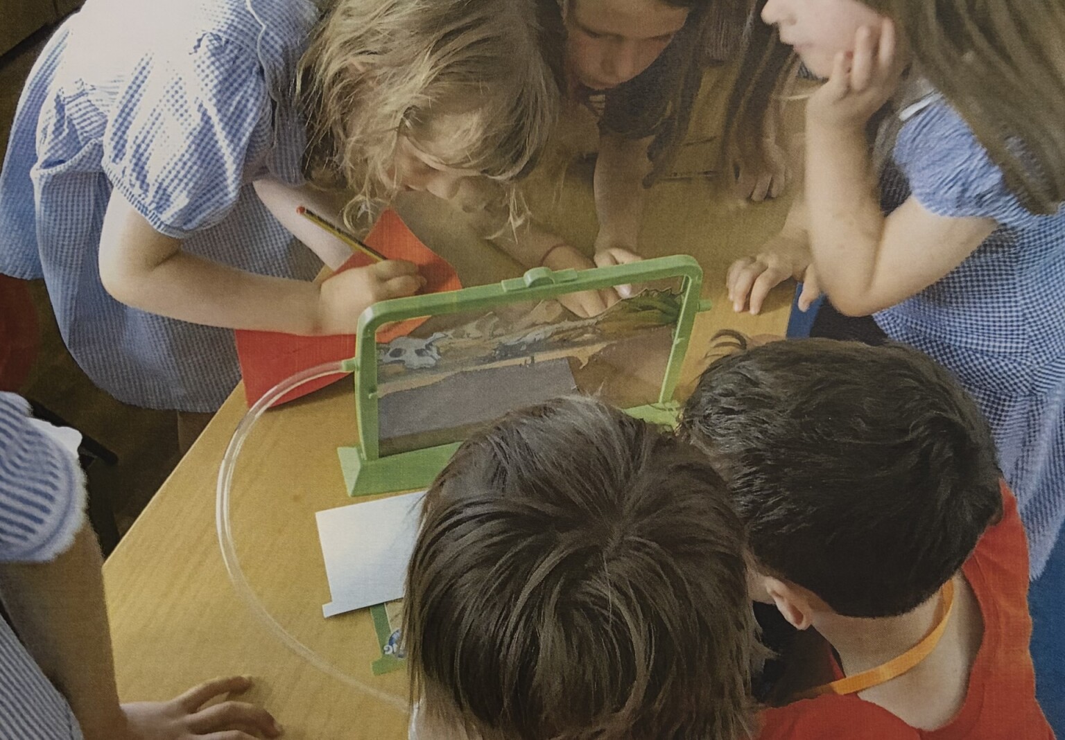 Ant farm