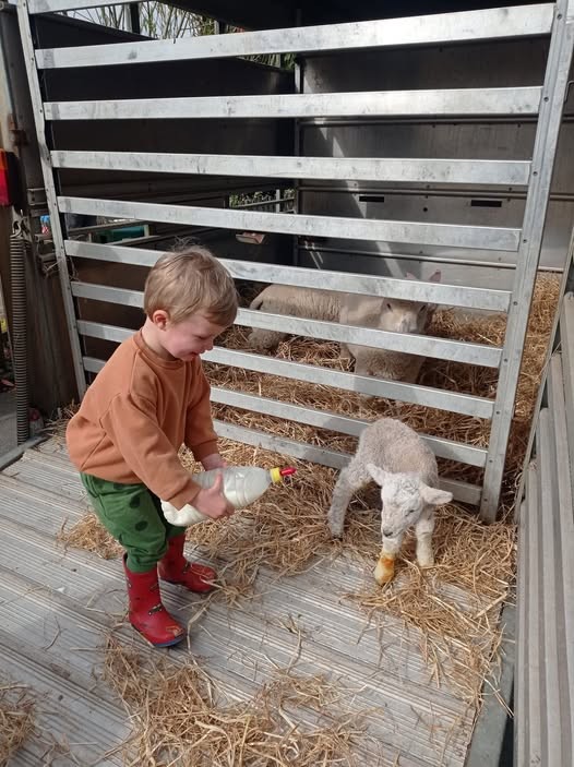 Visit from the farm 