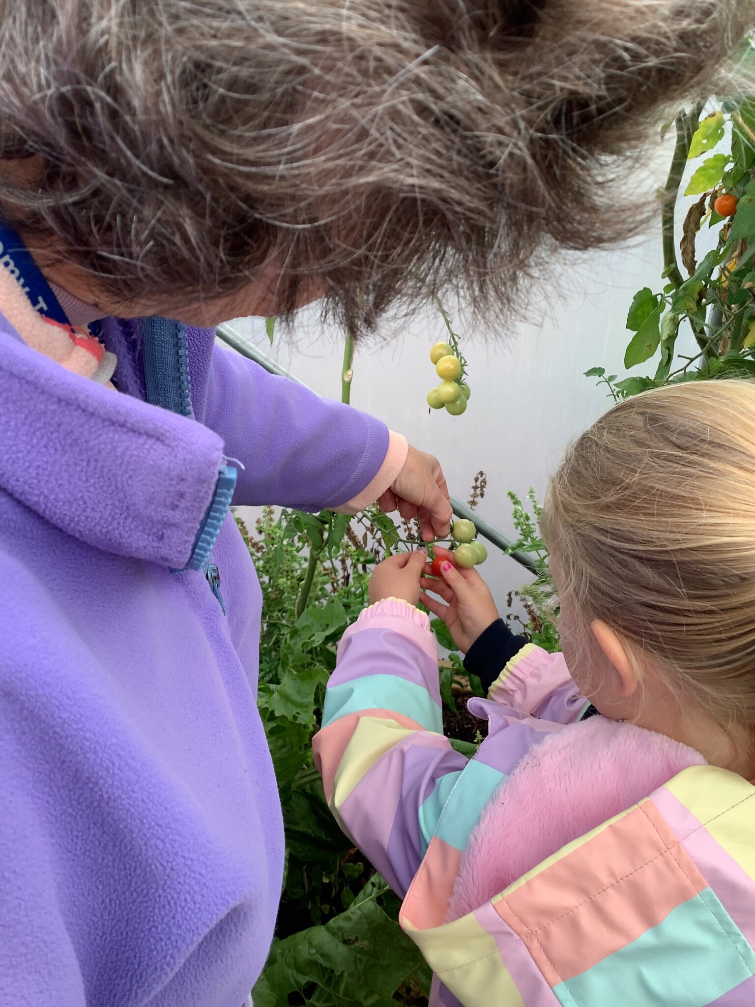Gardening