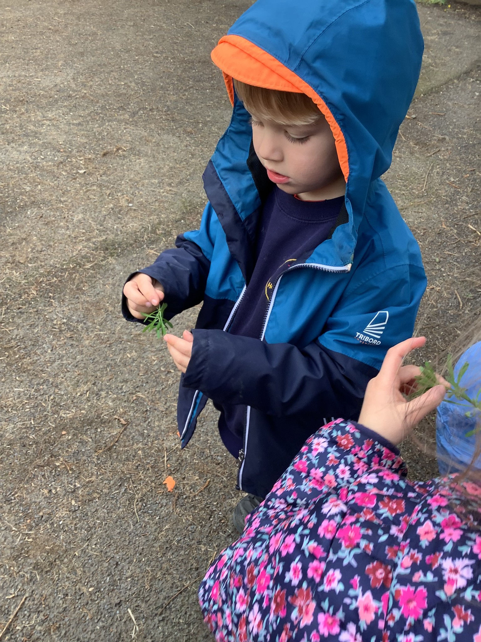 Learning about plants