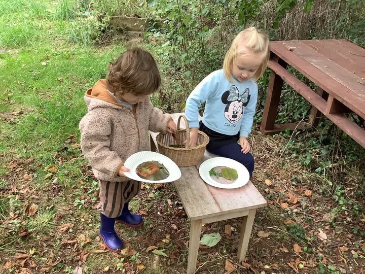 Forest School 