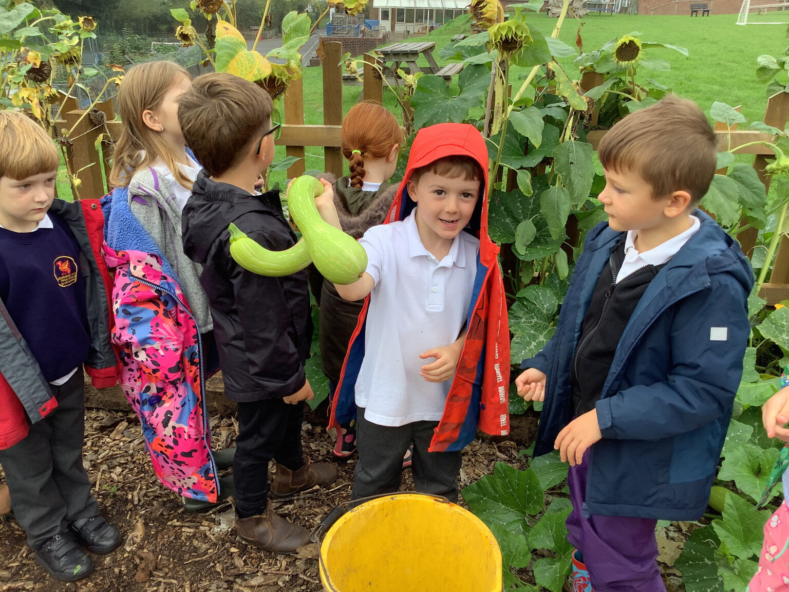 Forest School