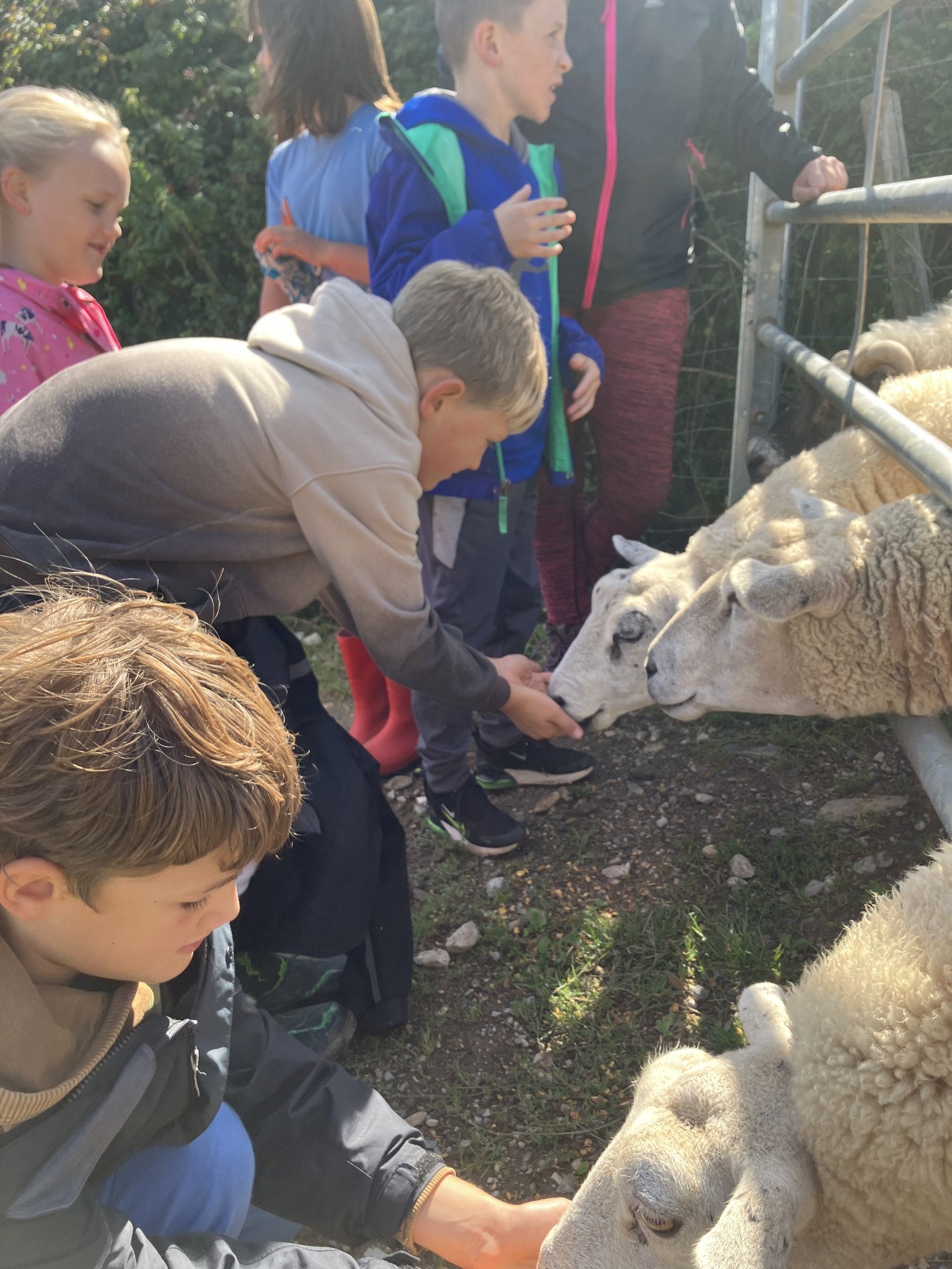 East Soar Farm Trip 
