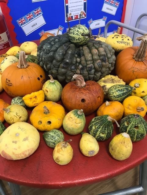 We grew our own pumpkins in gardening club and decorated them for Harvest! 