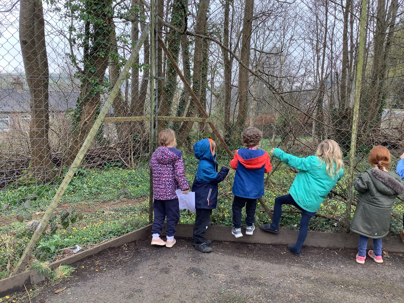 Learning about plants