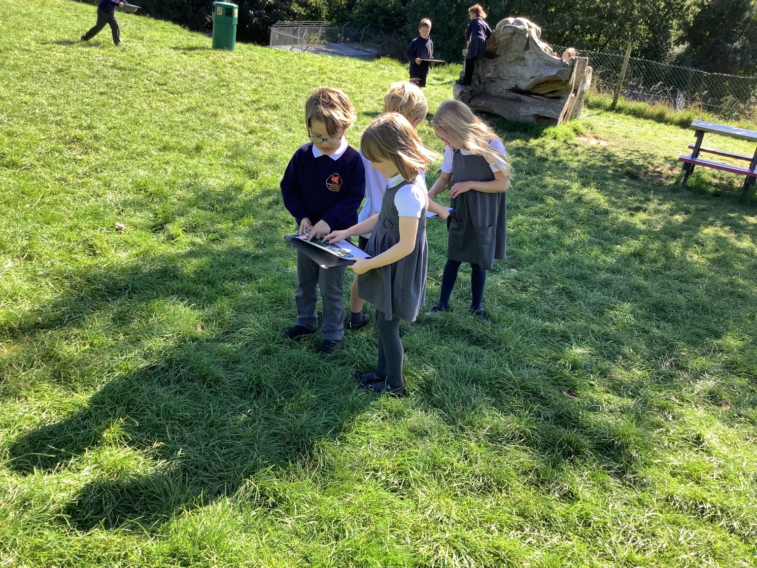 Falcons map making 