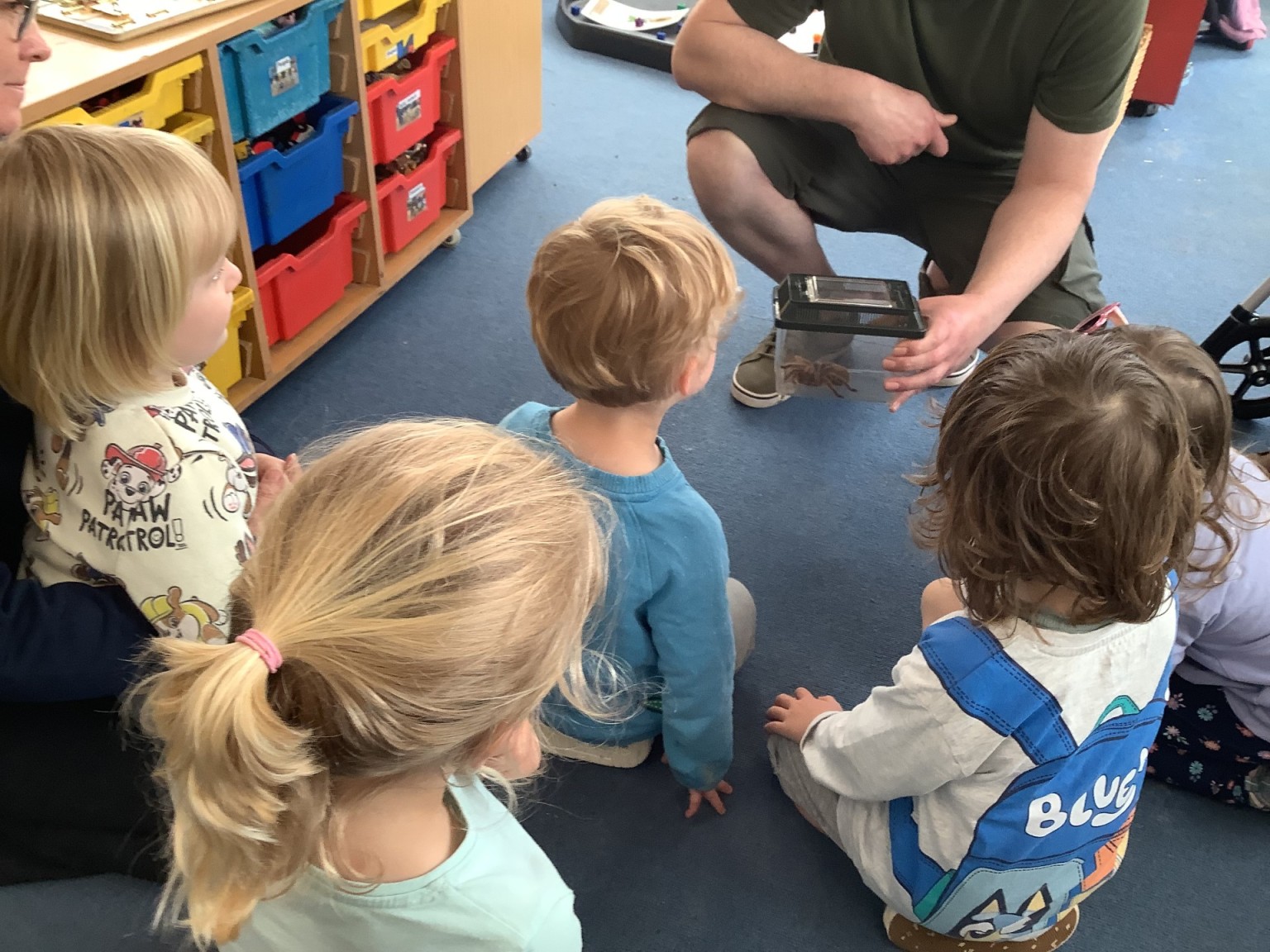 Minibeasts