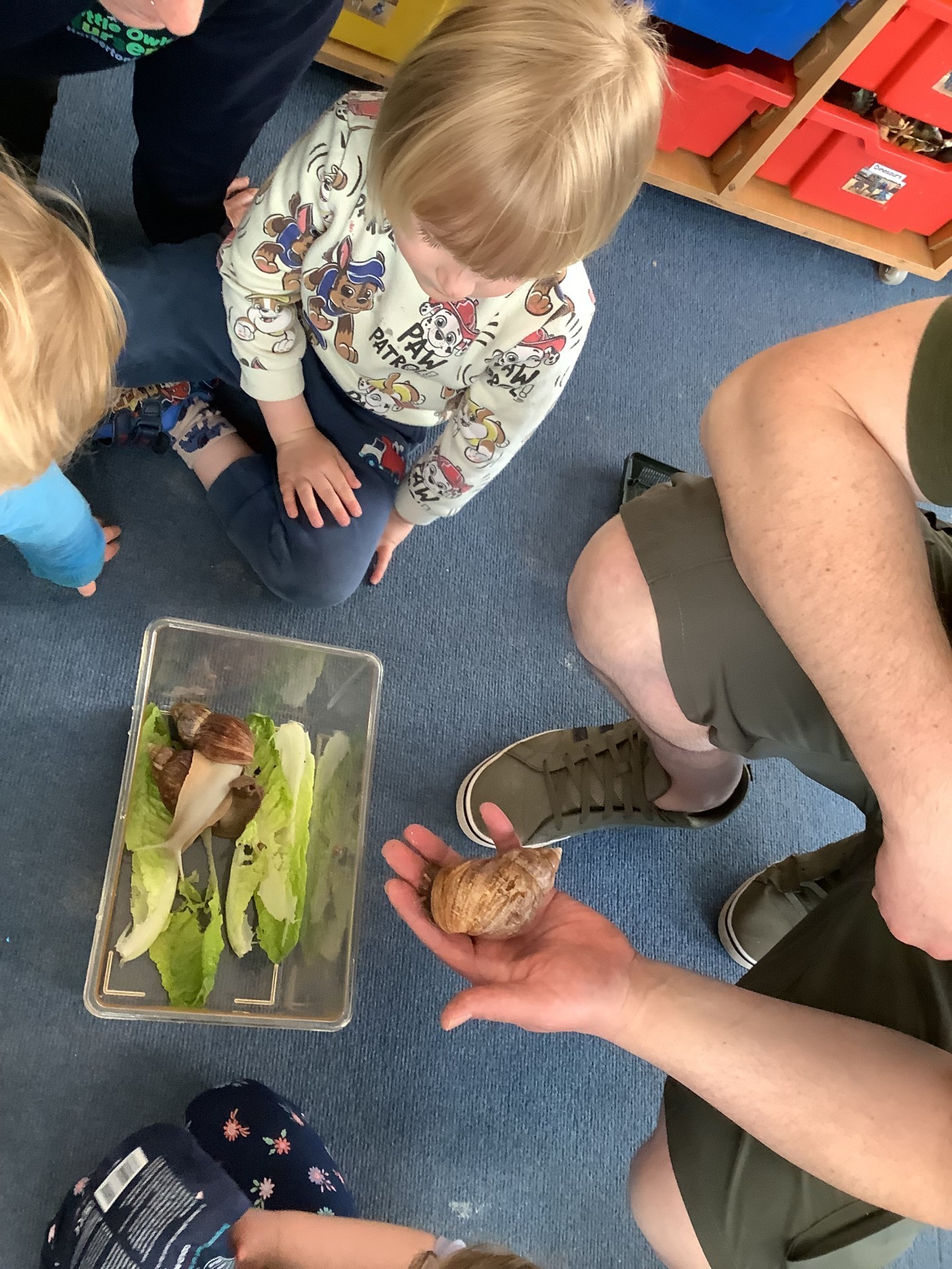 Minibeasts