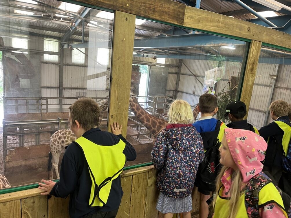 Visit to the zoo 