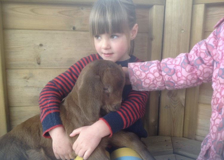 Baby goats were such special visitors.