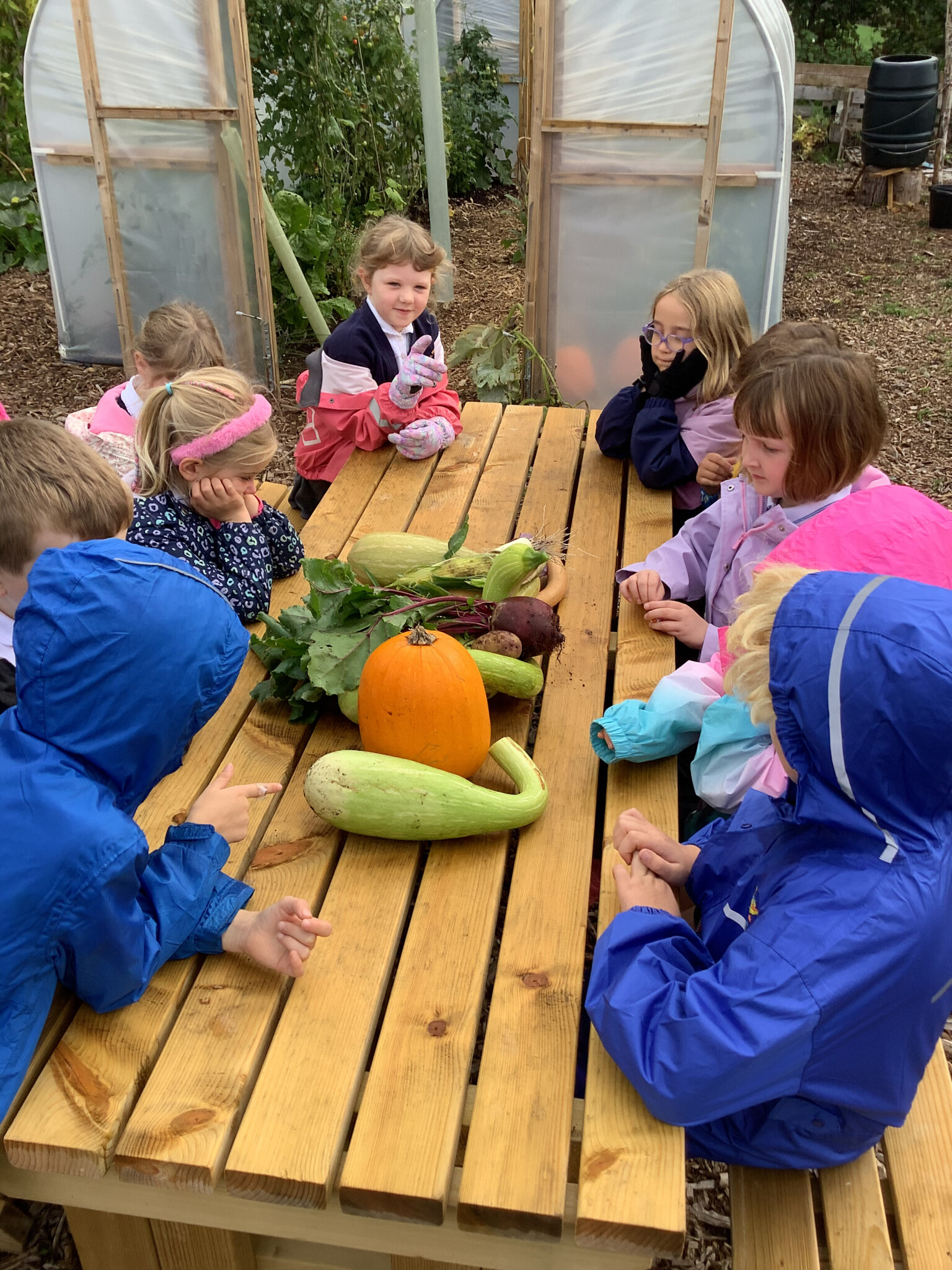 Forest School
