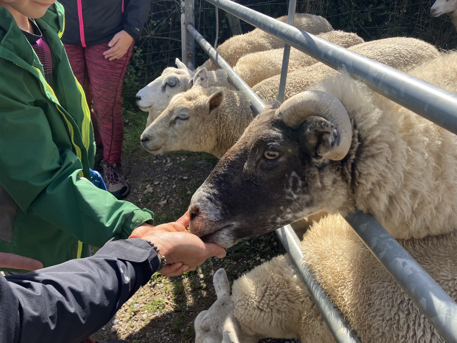 East Soar Farm Trip 