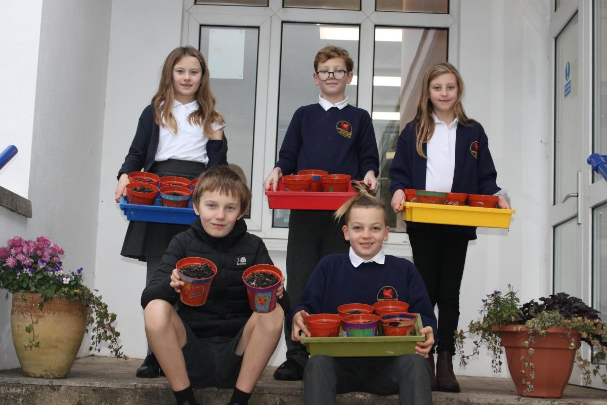 Christmas bulb pots for members of the community on their own at Christmas.