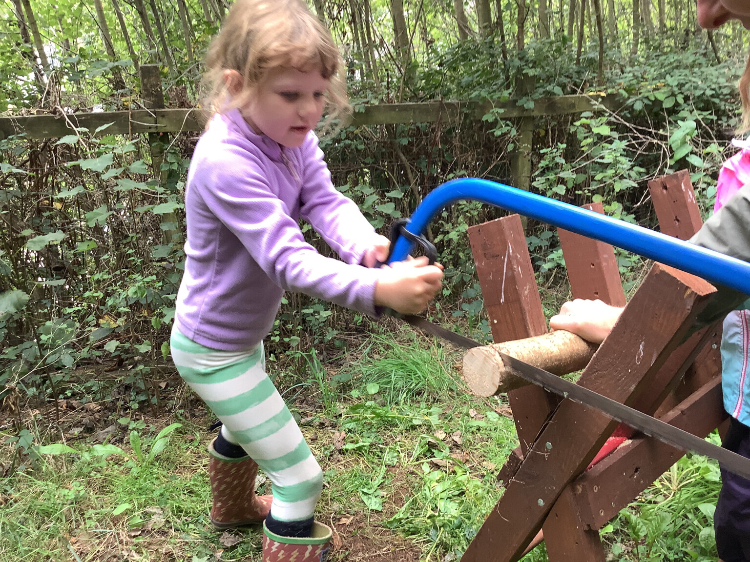 Forest School