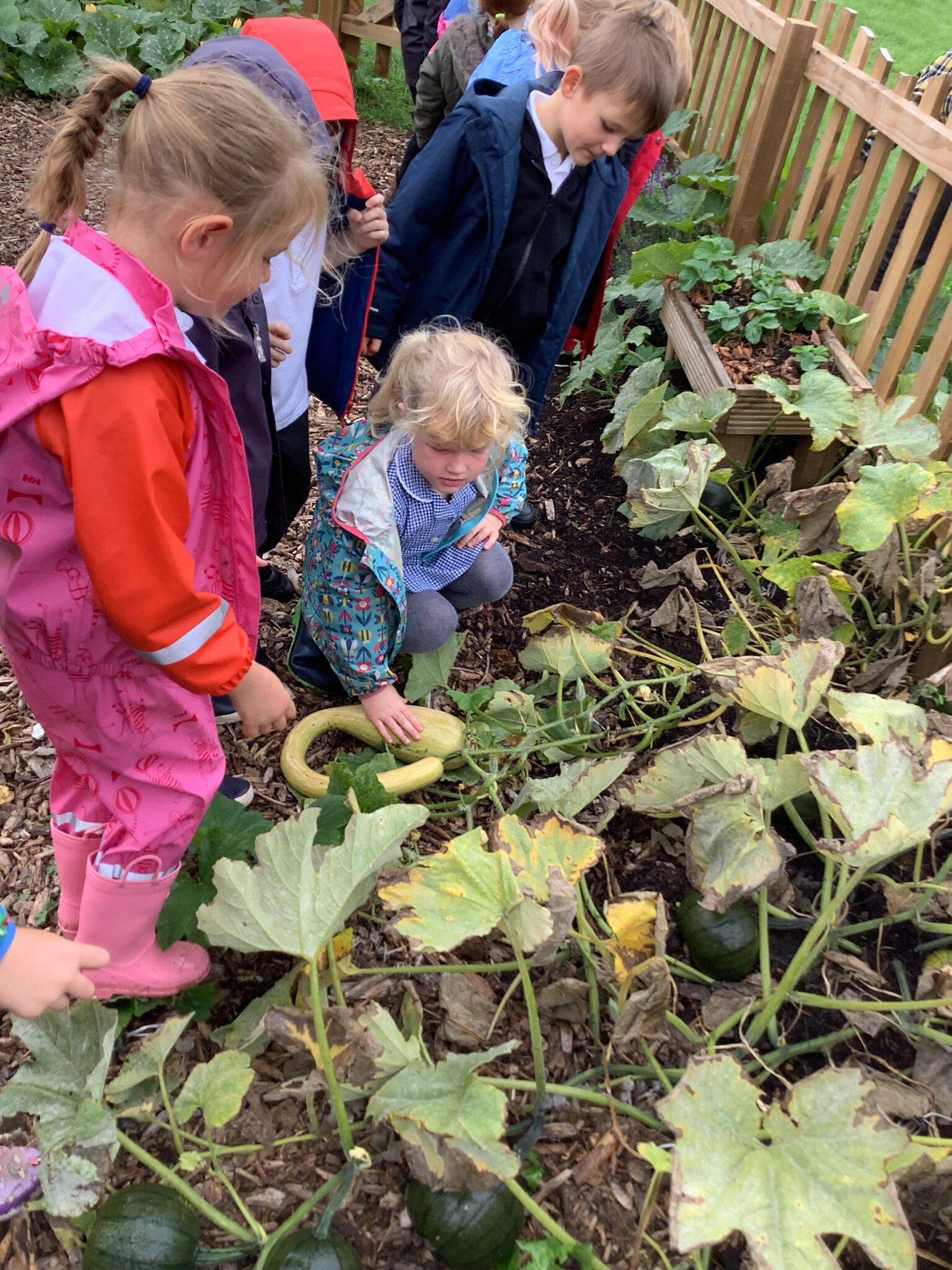 Forest School