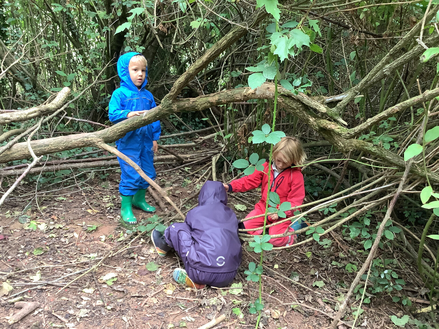 Forest School