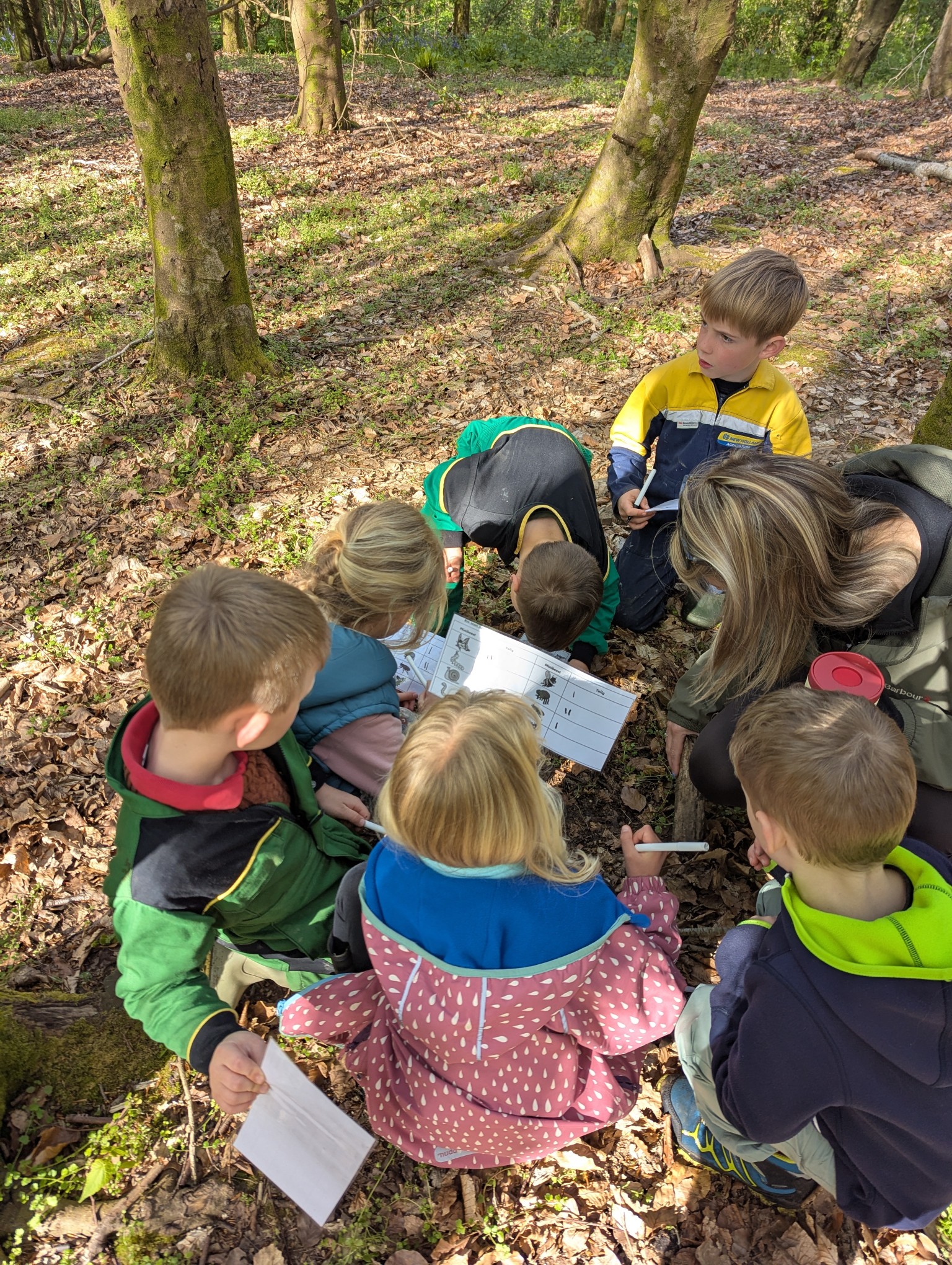 Forest School