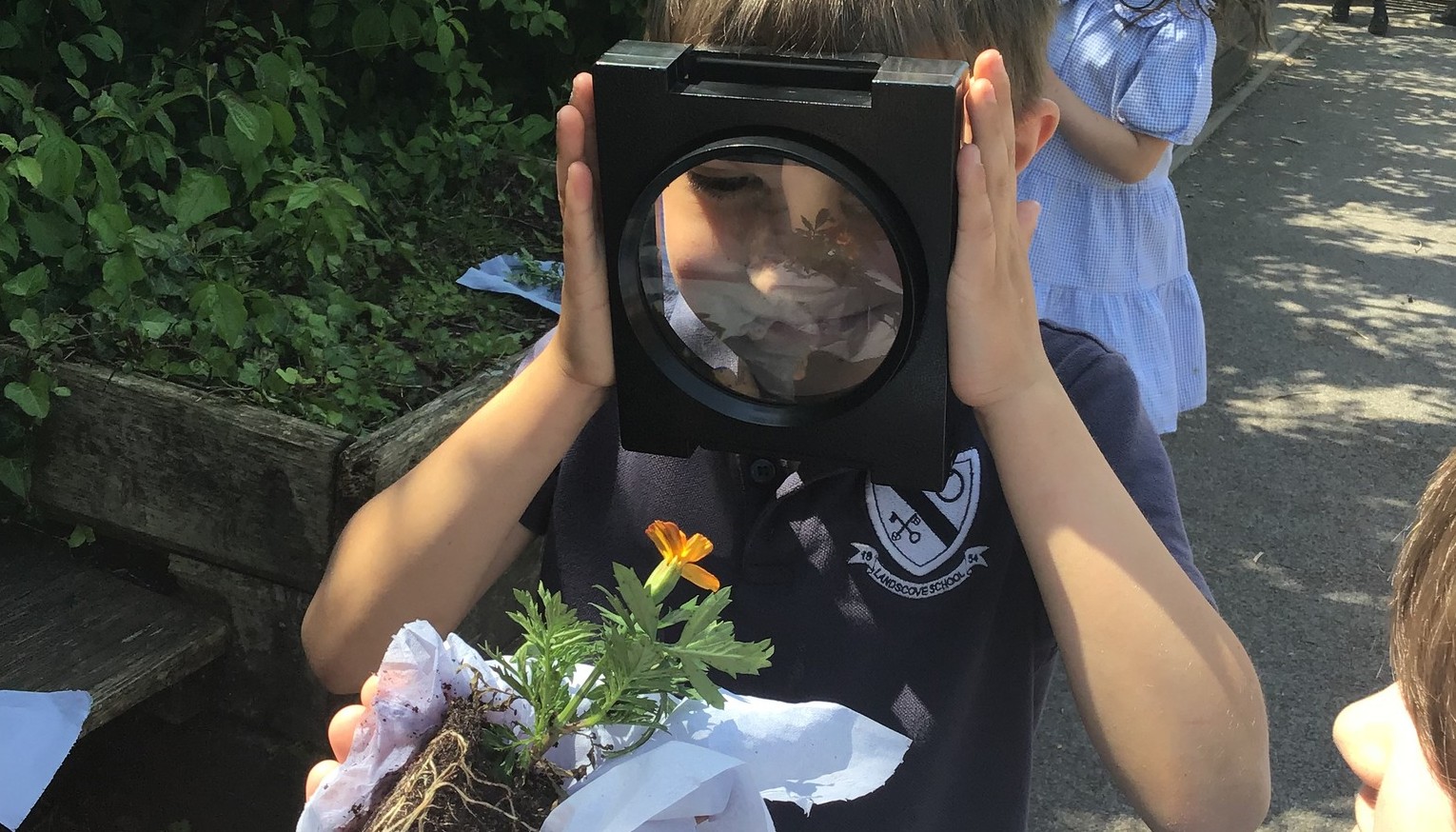 The wonder of nature
