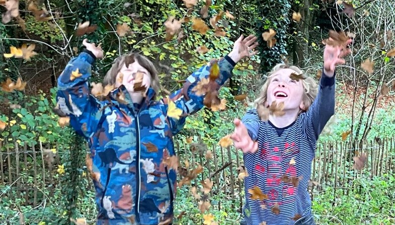 Autumn glee