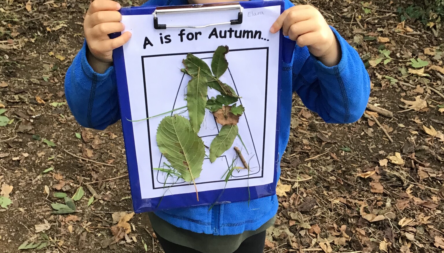Autumn
