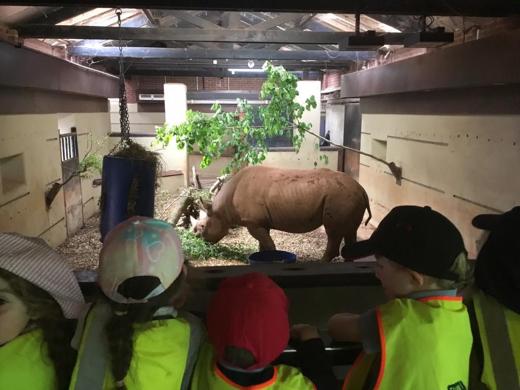 Class One had the most wonderful day at Paignton Zoo furthering their 'Understanding of the World' learning!