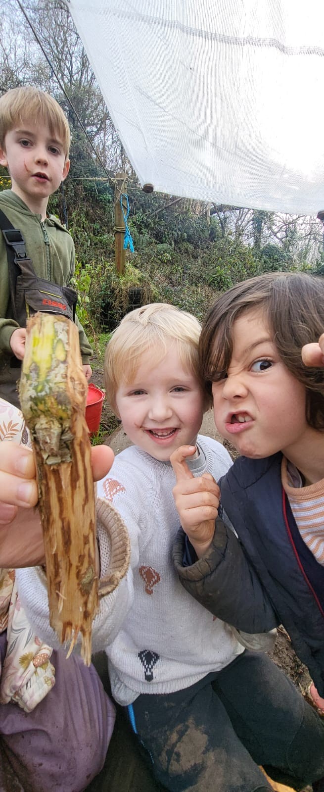 Forest School