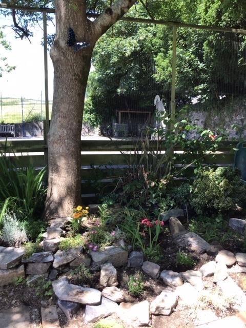 A beautiful rockery created by one of our year 6 pupils during a weekend. 