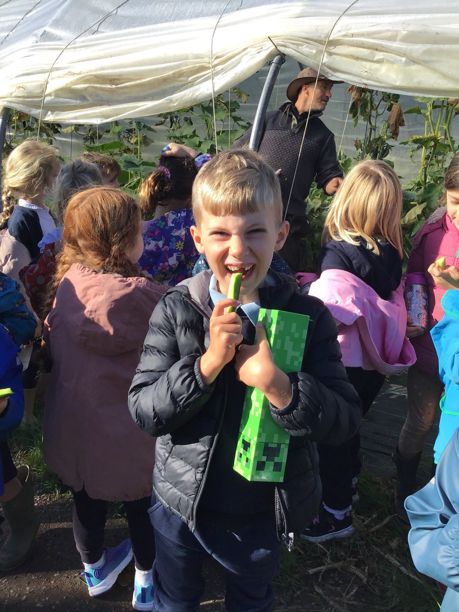 apple picking 2025