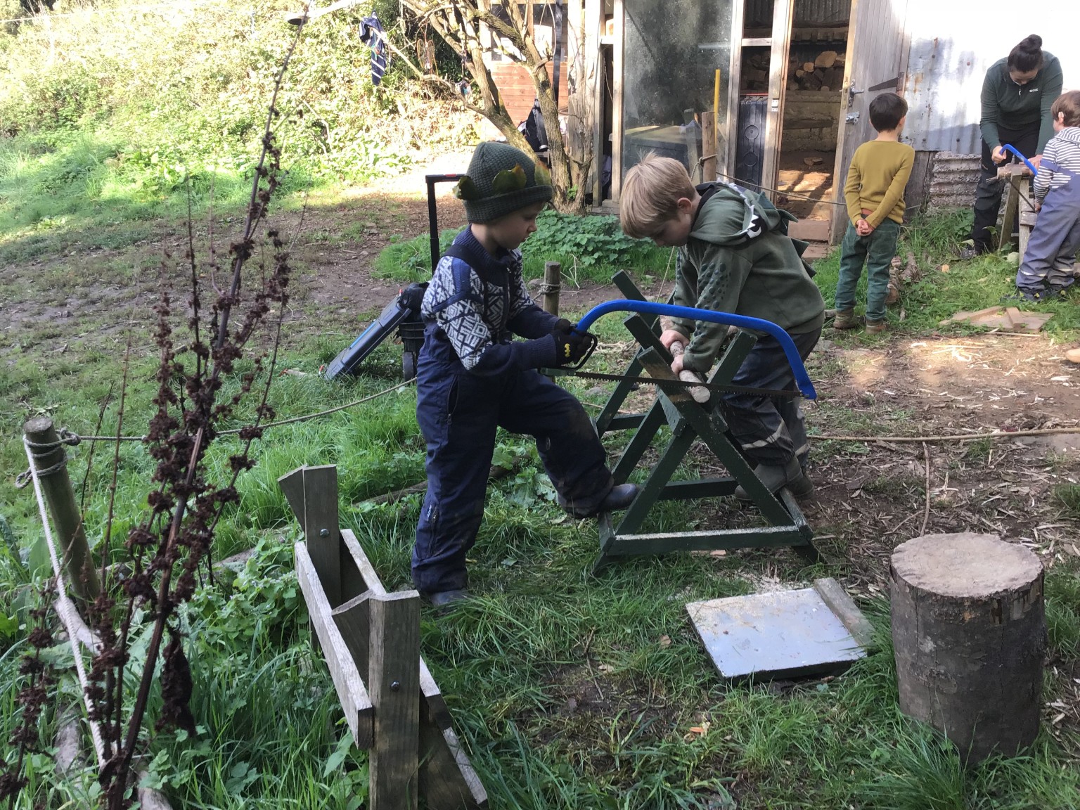 Forest school