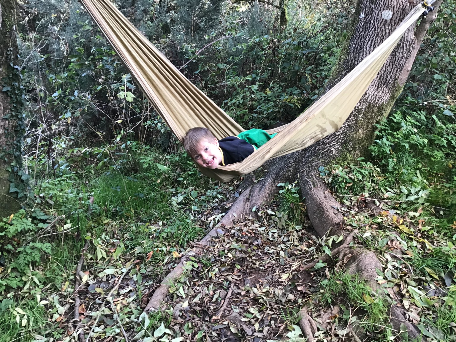 Forest school