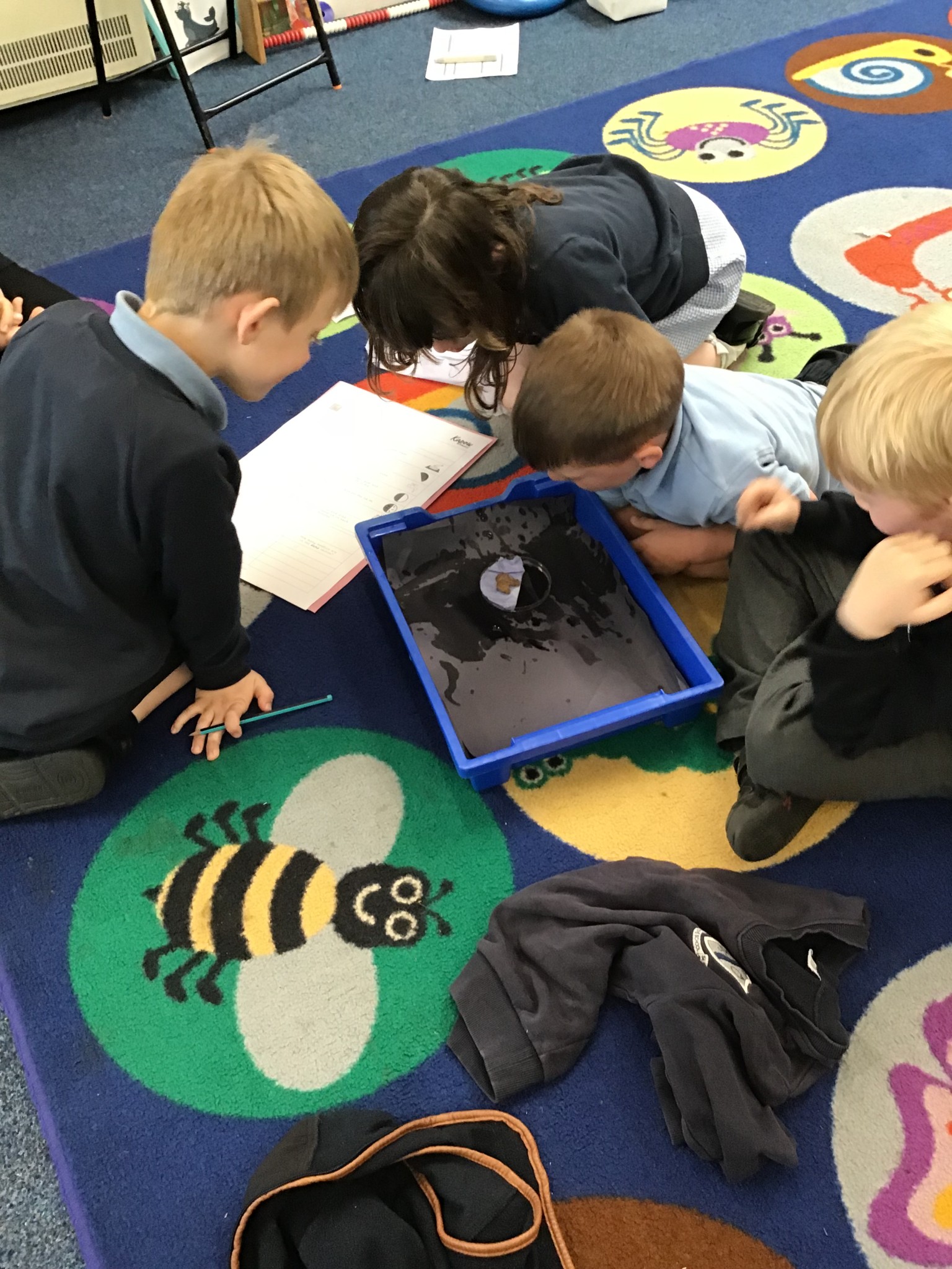 Woodlice 