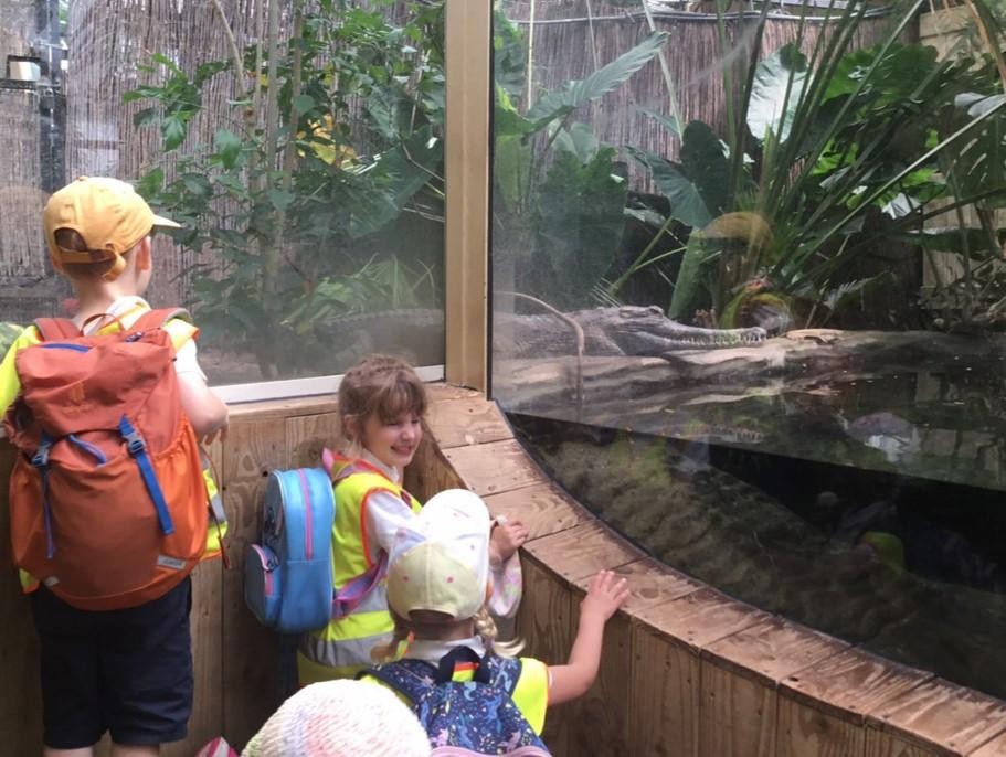 Class One had the most wonderful day at Paignton Zoo furthering their 'Understanding of the World' learning!