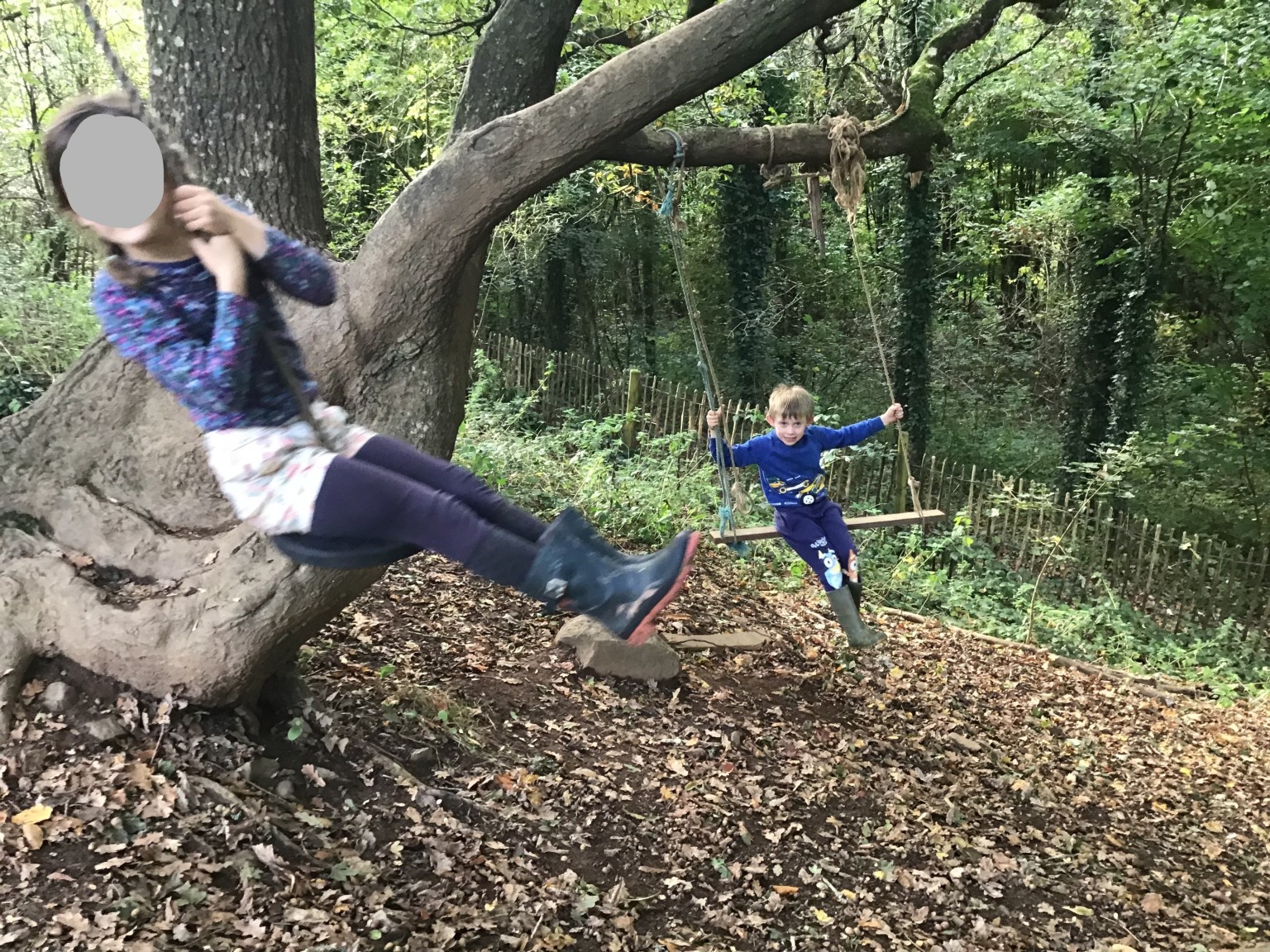 Forest school