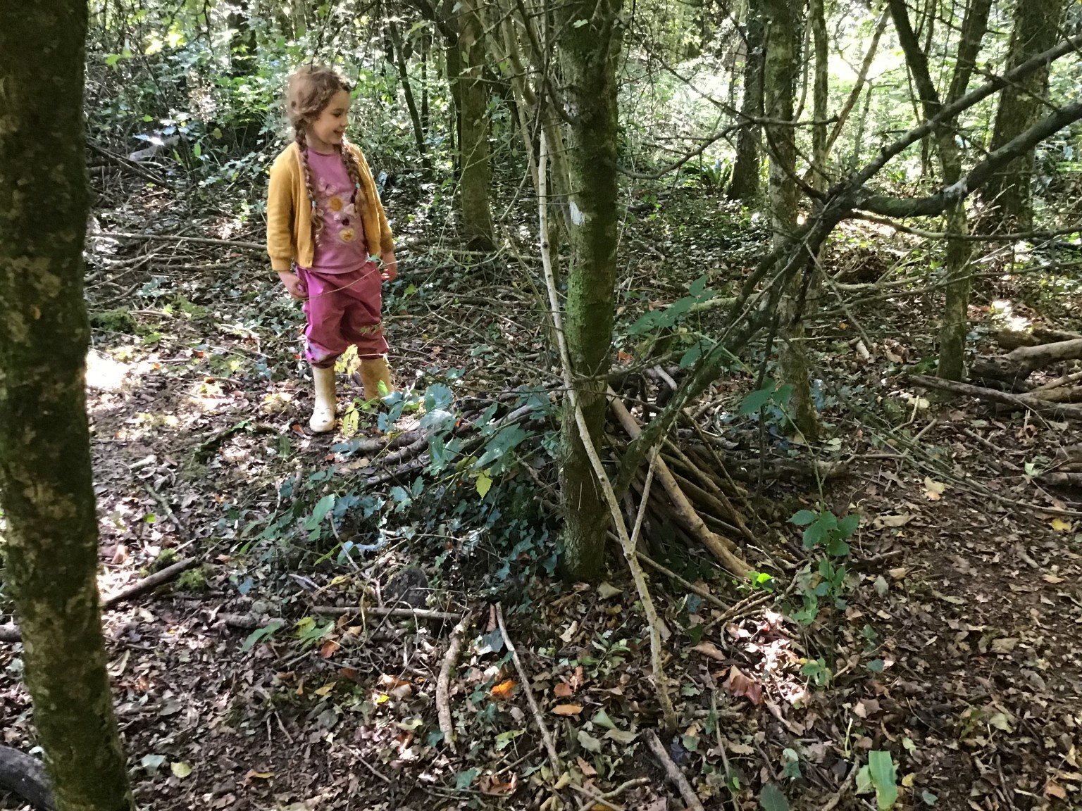 Forest school