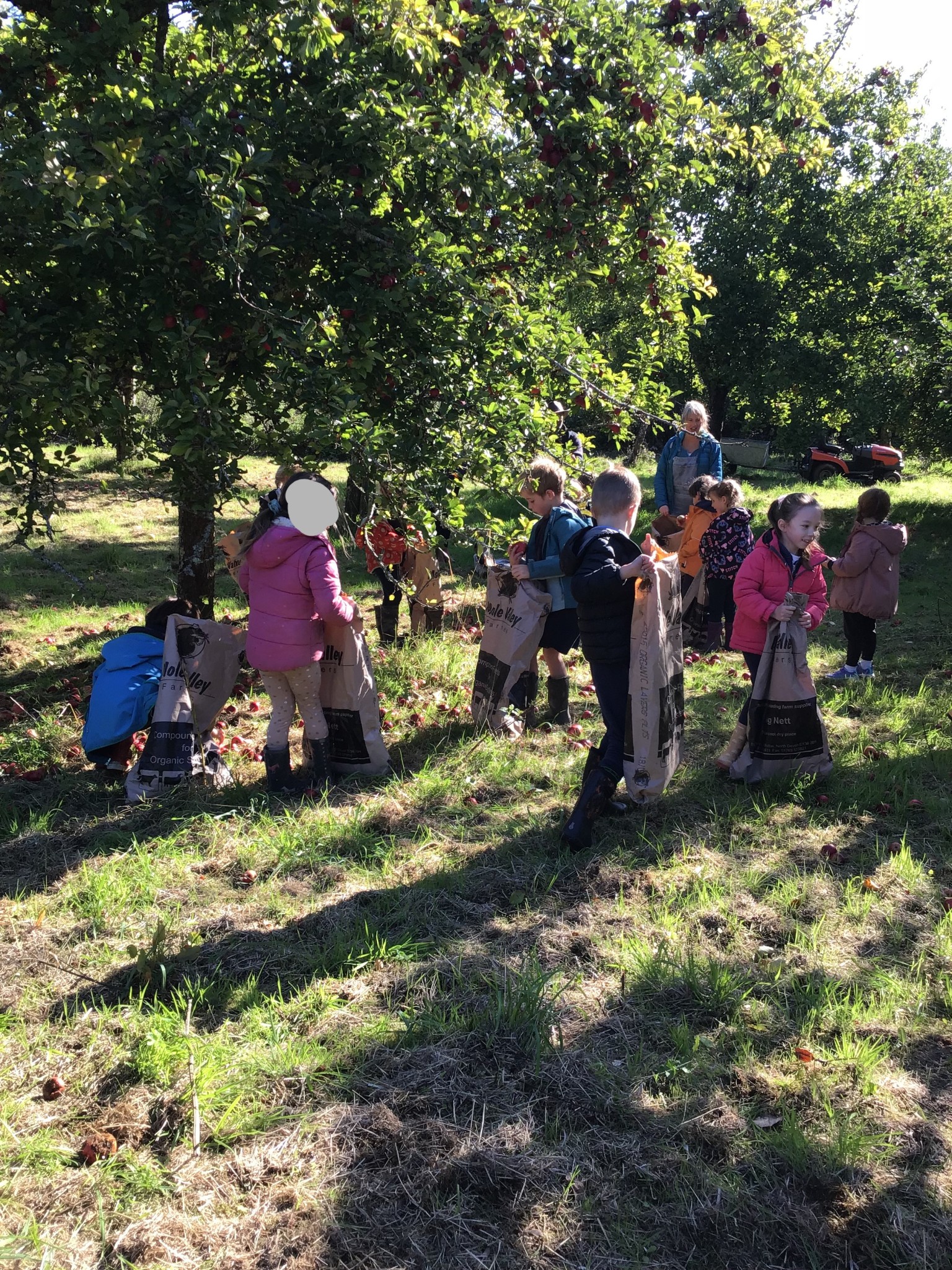 apple picking 2025