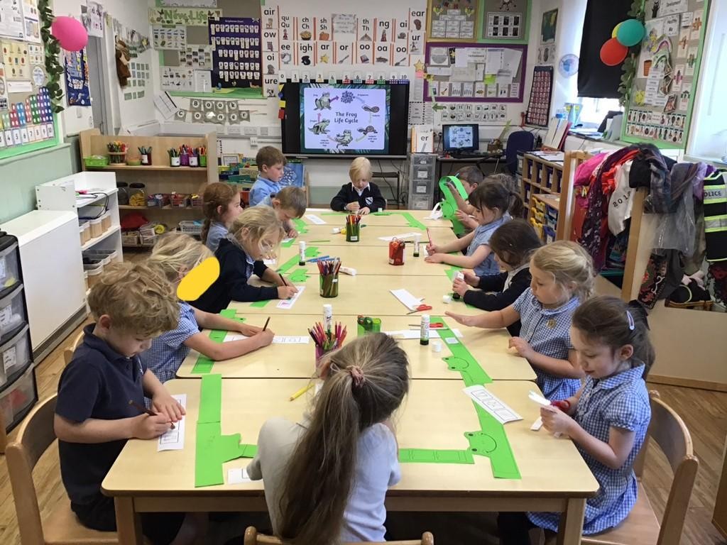 Following on from our visit to Stover and the many tadpoles we saw, Class 1 have been learning about the life cycle of a frog. 