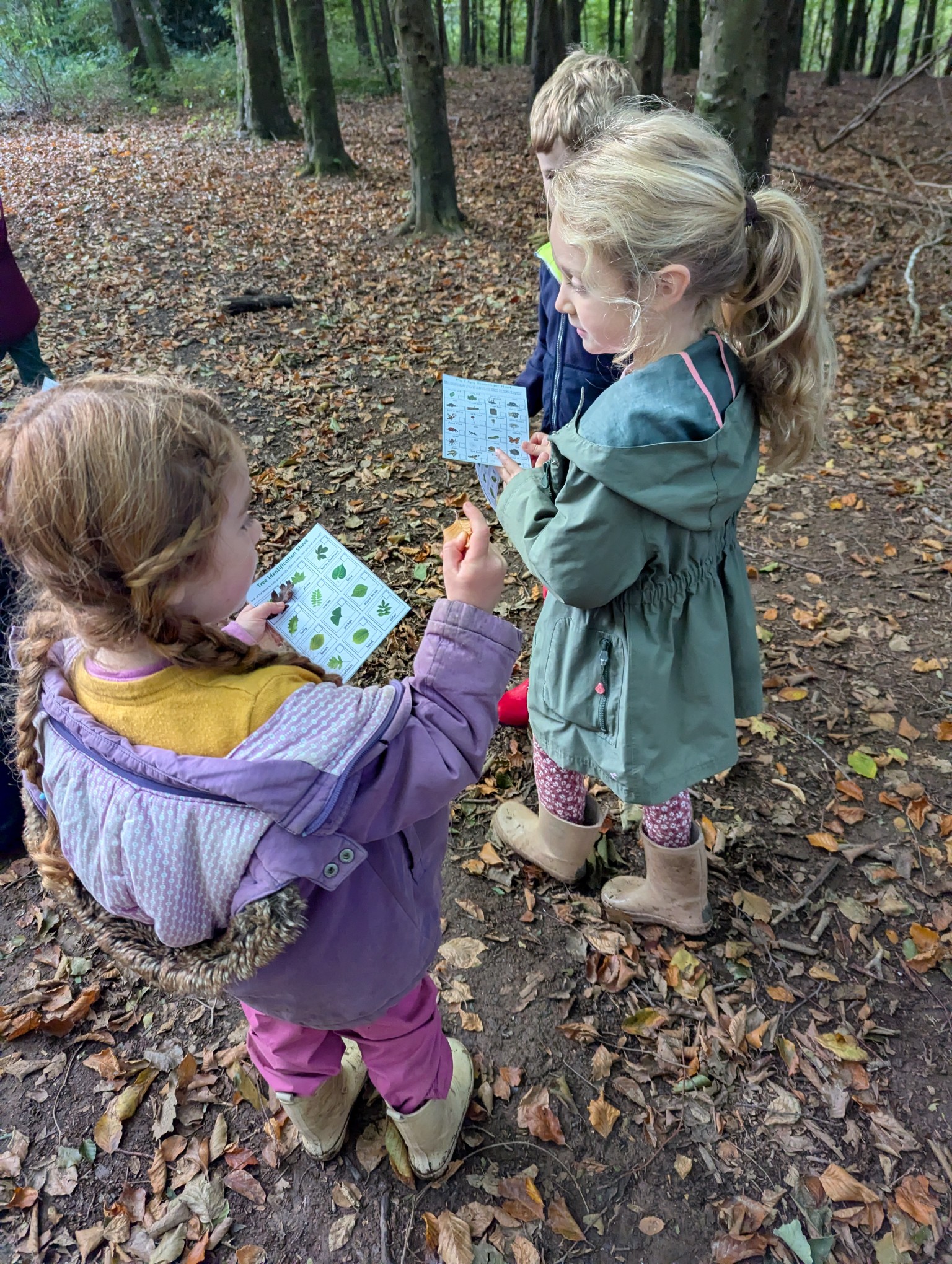 Forest school