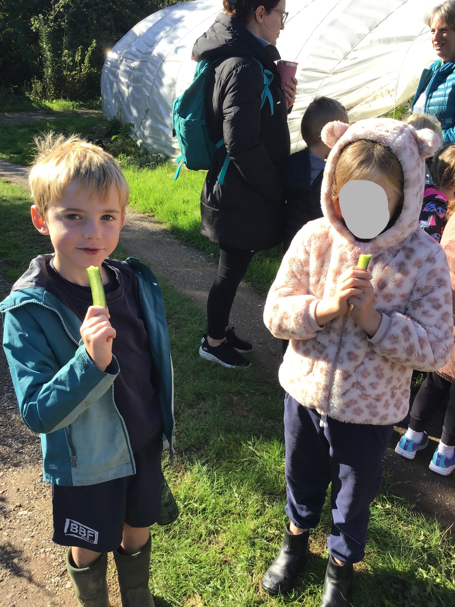 apple picking 2025