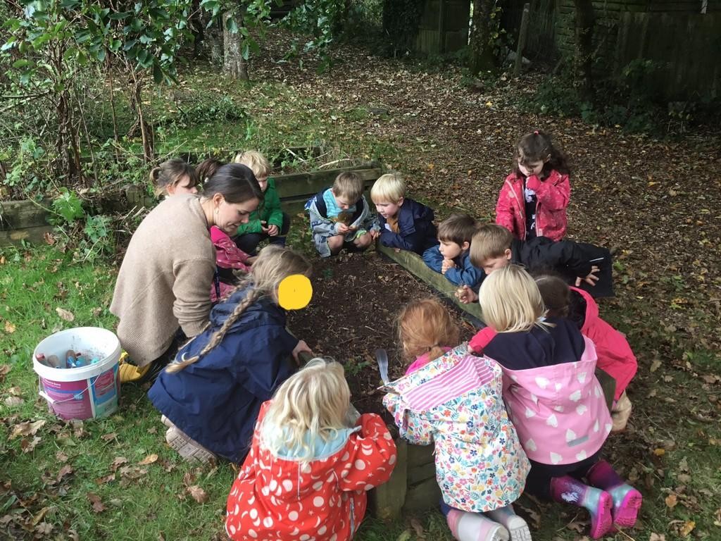 In their Outdoor Explorers learning, Class One have been exploring the woodland environment and they have been planting daffodil bulbs.