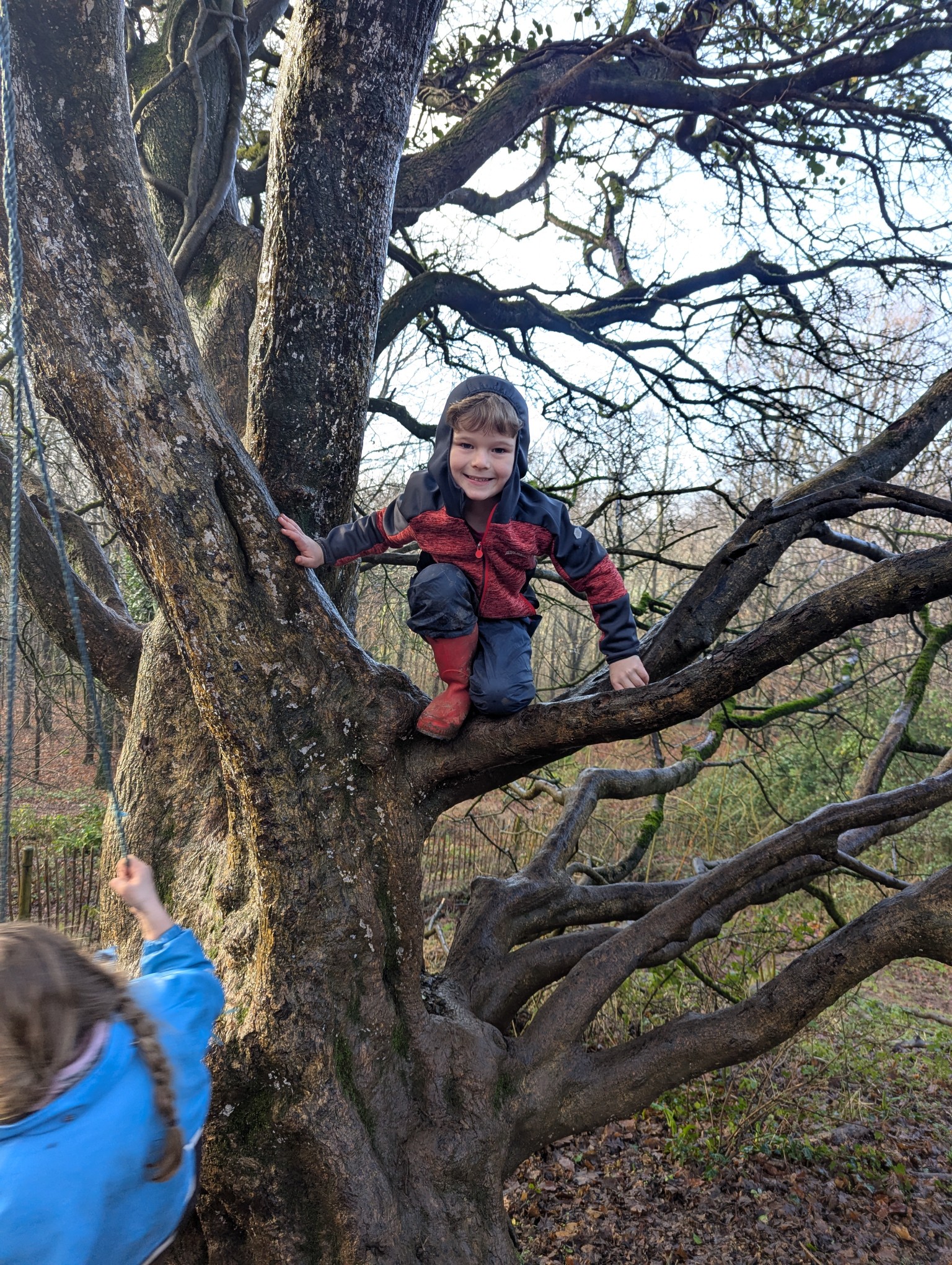 Forest School
