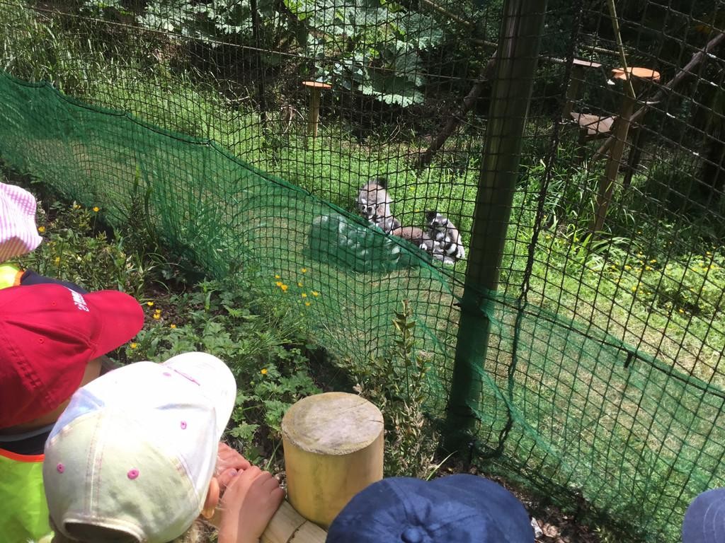 Class One had the most wonderful day at Paignton Zoo furthering their 'Understanding of the World' learning!