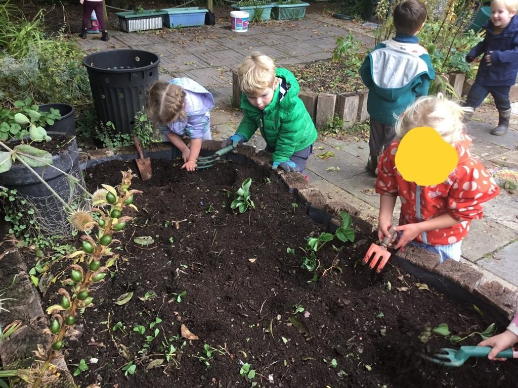 As part of our 'Food for Thought' project, Class One have been planting strawberry plants.