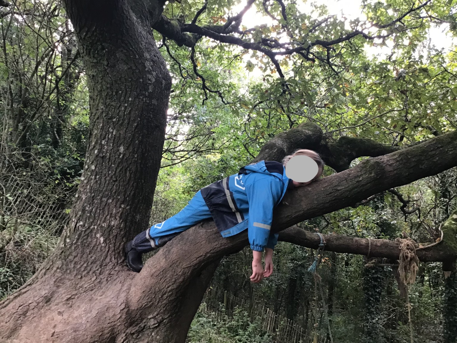 Forest school