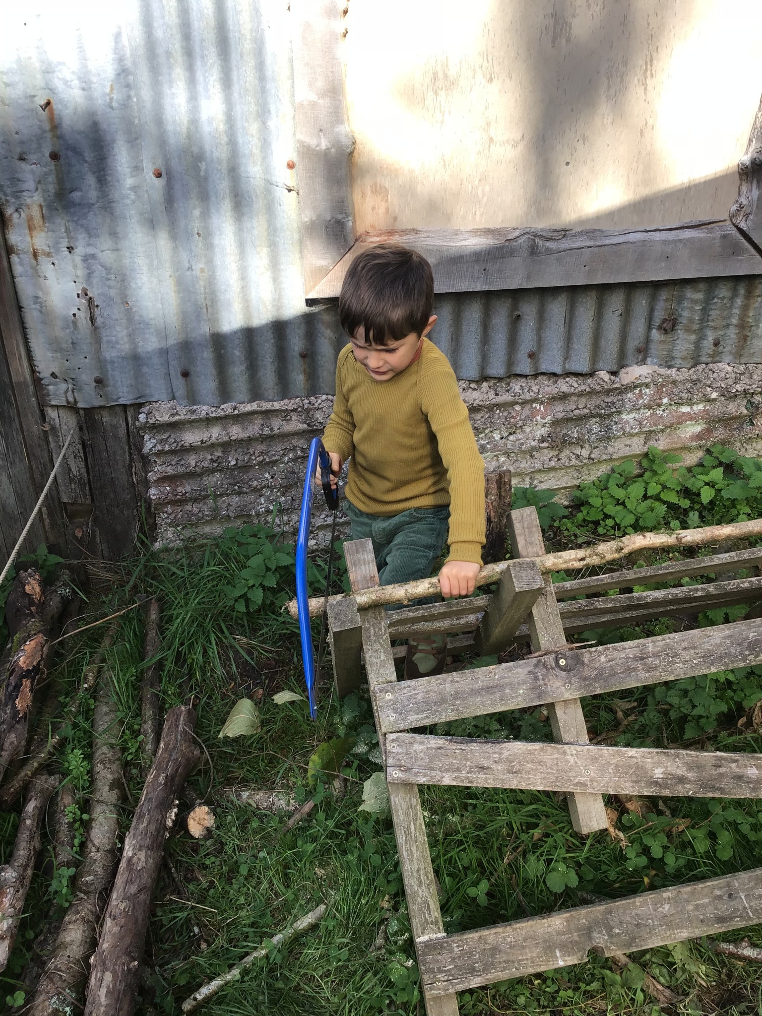 Forest school